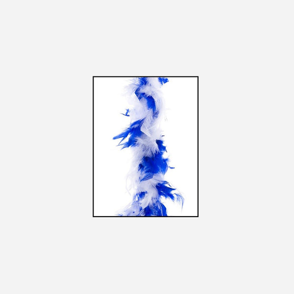 Boa 45 g blanc bleu 2 m en plumes