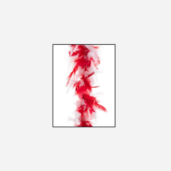 Boa 45 g blanc rouge 2 m en plumes