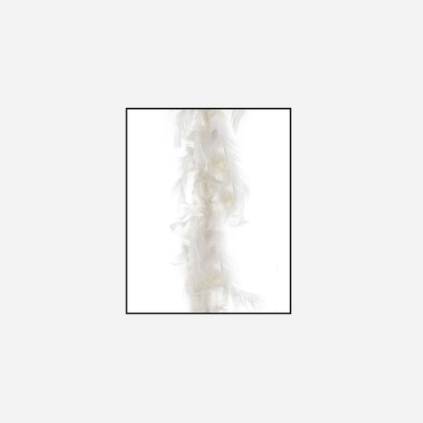 Boa 45 g ecru 2 m en plumes