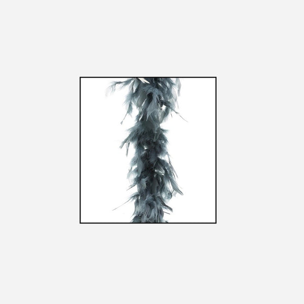 Boa 45 g gris 2 m en plumes