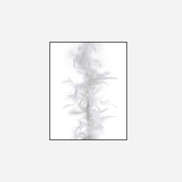 Boa 35 g blanc 1,5 m en plumes