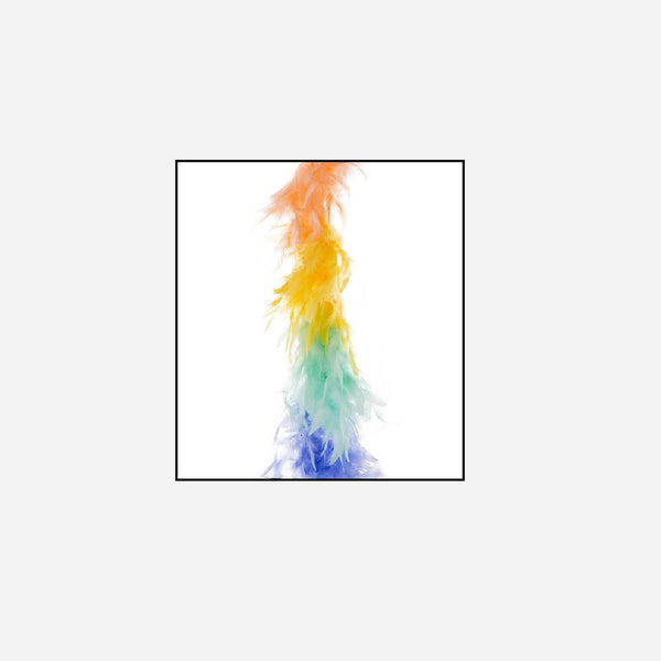 Boa 45 g pastel multicolore 2 m en plumes