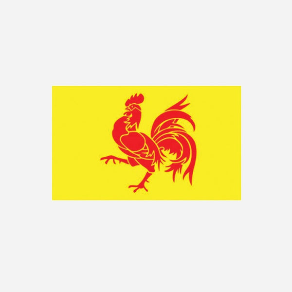 Drapeau de wallonie Belgique 90 × 150 cm