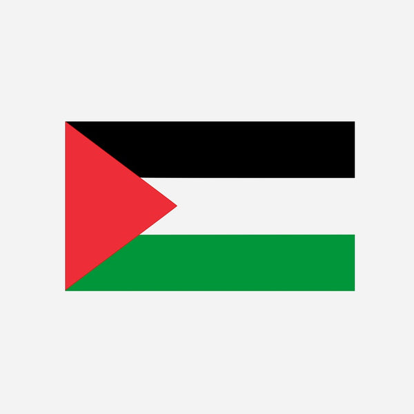 Drapeau palestine 90 × 150 cm