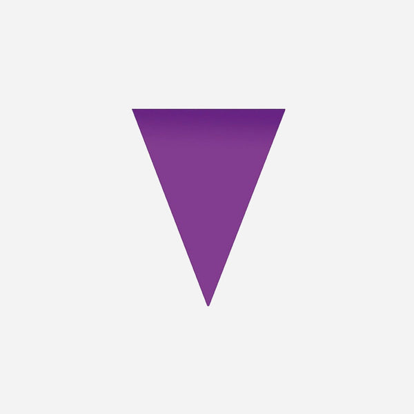 Guirlande 10 fanions uni violet 5 m