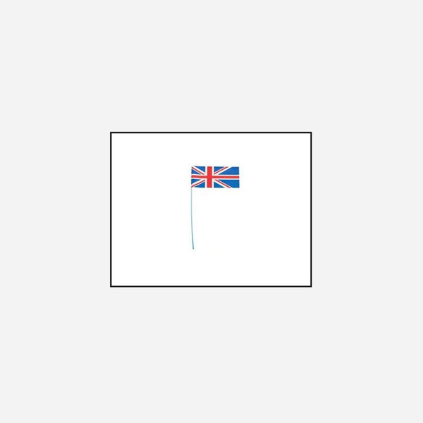 Lot de 60 drapeaux avec baguette 12 × 23 cm