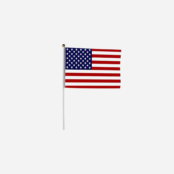 Lot de 12 petits drapeaux USA avec baguette 15 × 21 cm