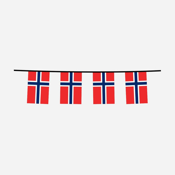 Guirlande 12 drapeaux fanions norvege 4,5 m