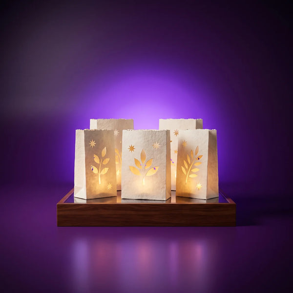 Lanternes jardin Luminaria