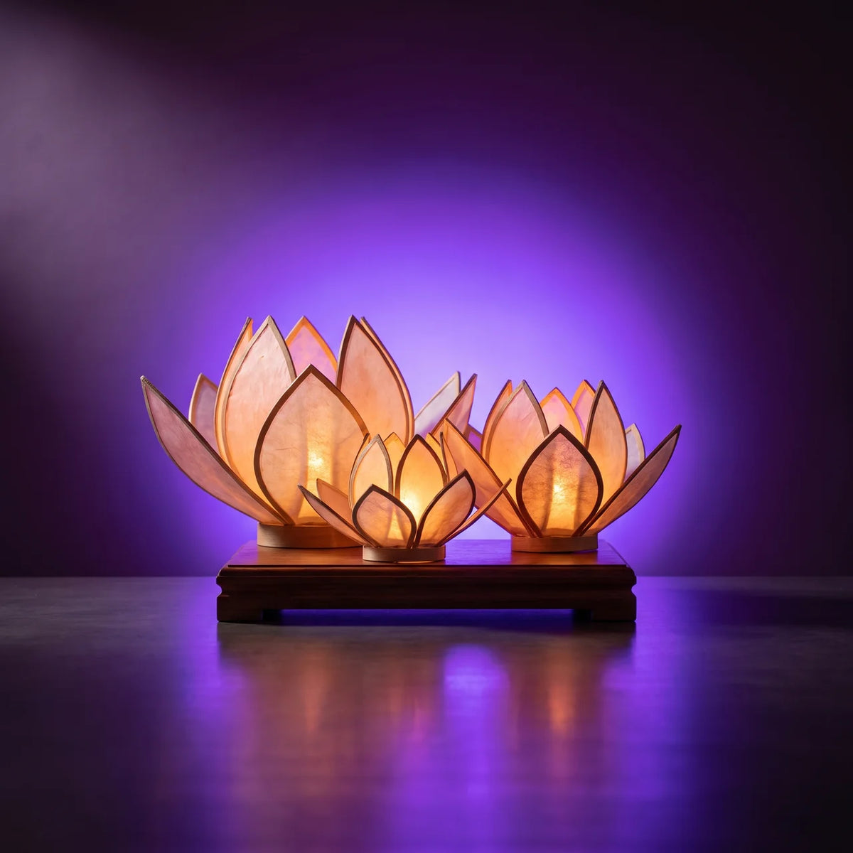 theme lanternes nenuphar flottantes