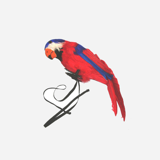 Perroquet à plumes avec sangle fixation d'épaule