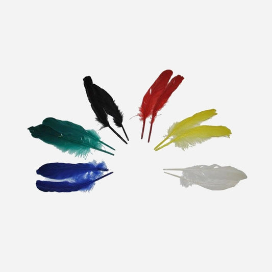 Lot avec 12 plumes d'indien