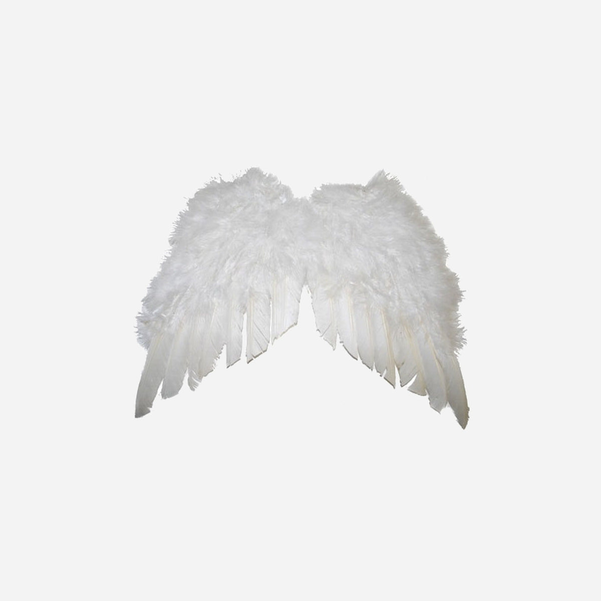 Ailes d'ange plumes petite blanc 40 cm