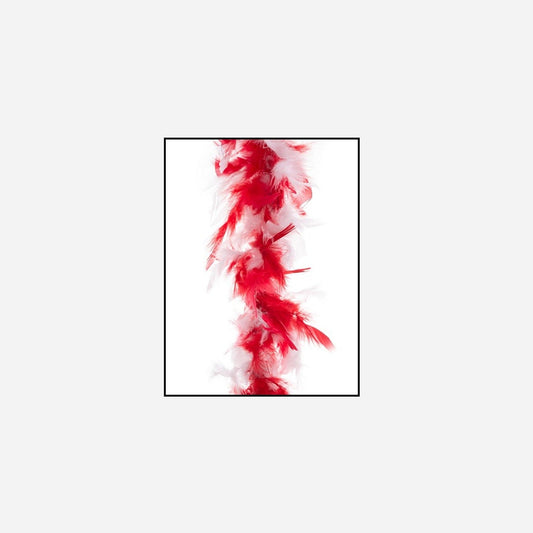 Boa 45 g blanc rouge 2 m en plumes