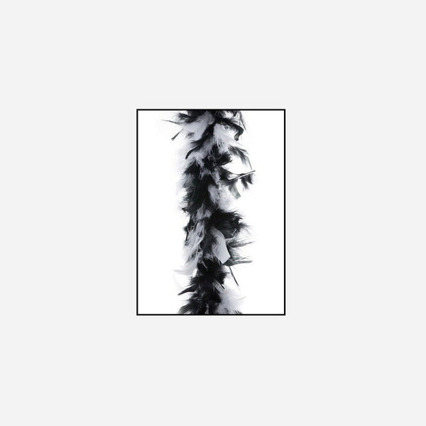 Boa 45 g blanc noir 2 m en plumes