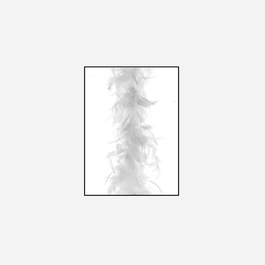 Boa 50 g blanc 1,9 m en plumes
