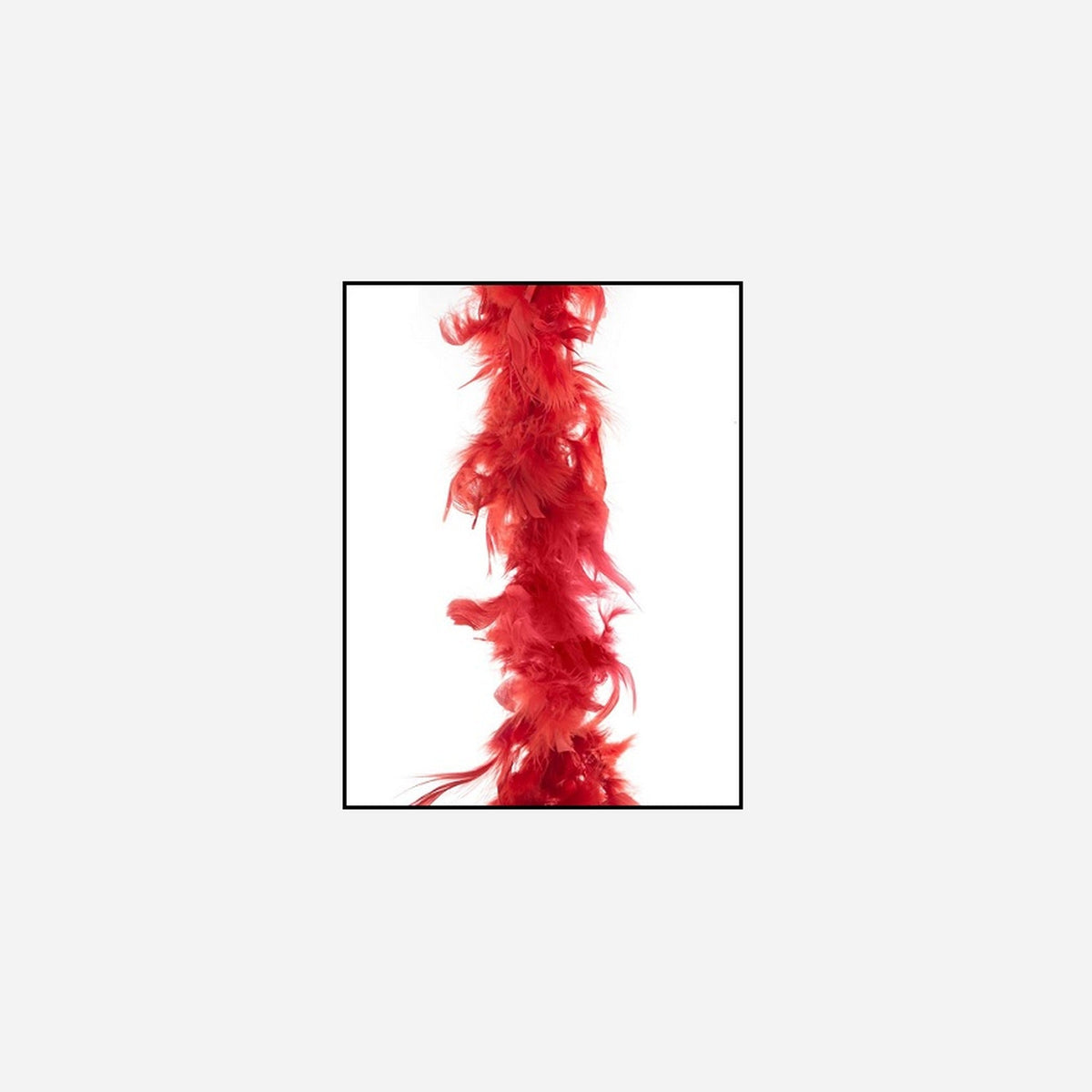 Boa 50 g rouge 1,9 m en plumes