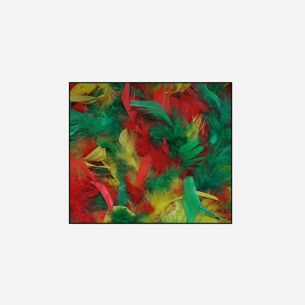 Boa 45 g rouge jaune vert 2 m en plumes
