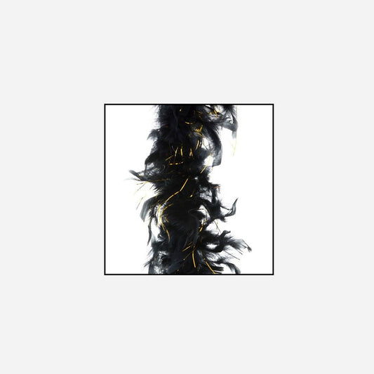 Boa 50 g noir & or 1,9 m