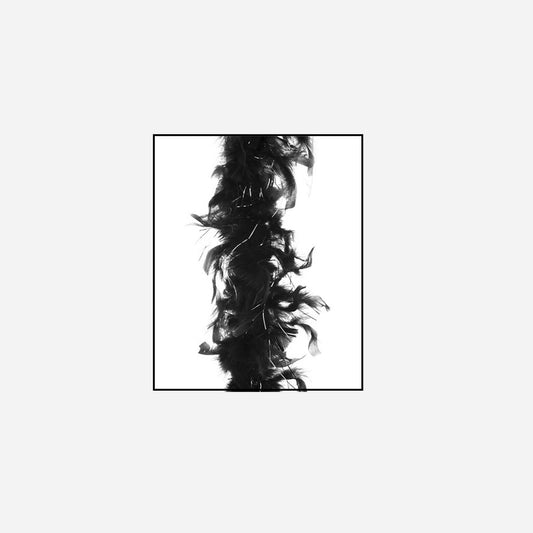 Boa 50 g noir & argent 1,9 m en plumes