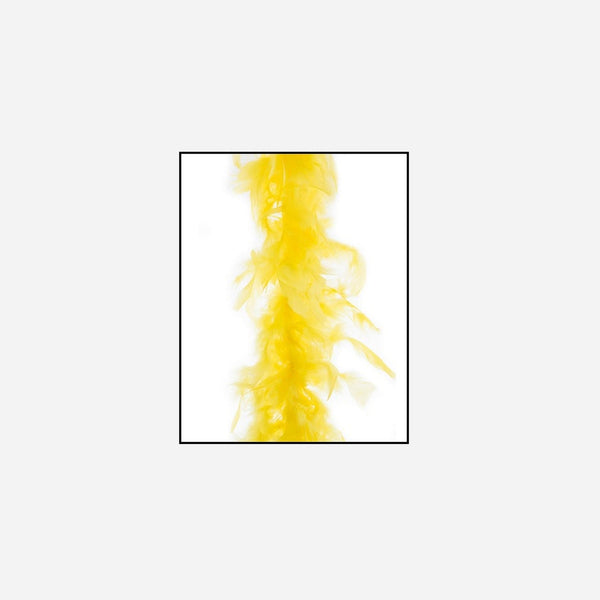 Boa 50 g jaune 1,9 m en plumes