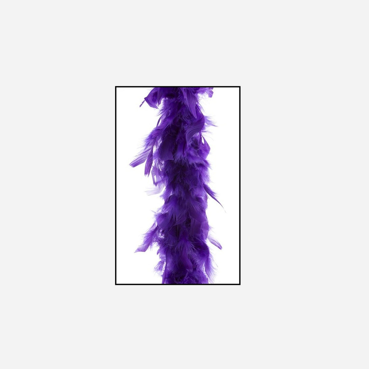 Boa 50 g violet 1,9 m en plumes