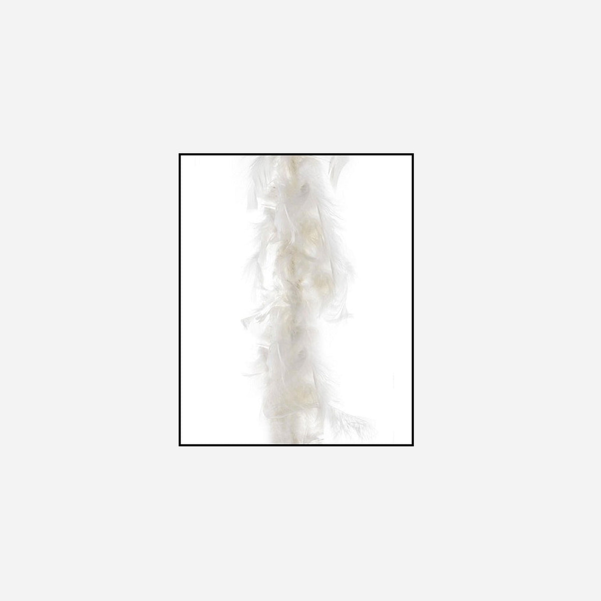 Boa 45 g ecru 2 m en plumes