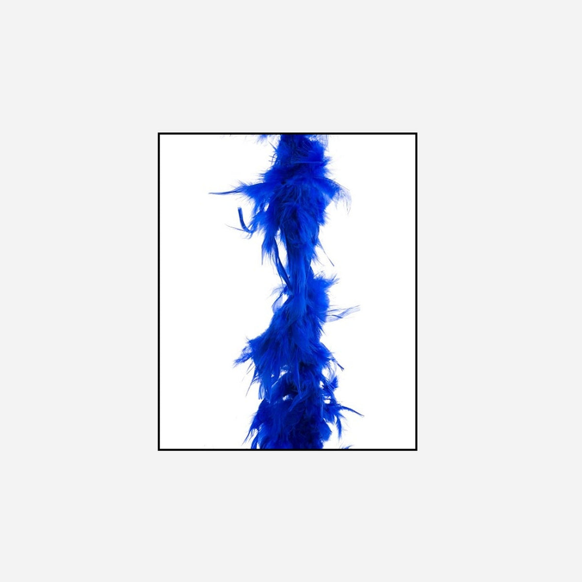 Boa 35 g 1,5 m en plumes