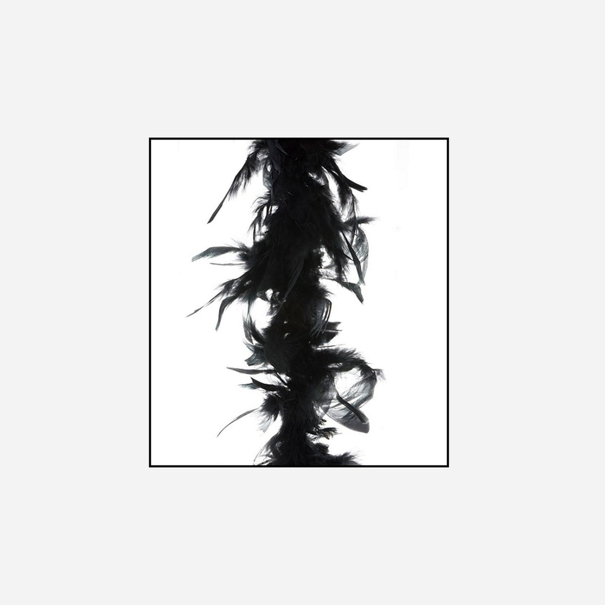 Boa 35 g 1,5 m en plumes