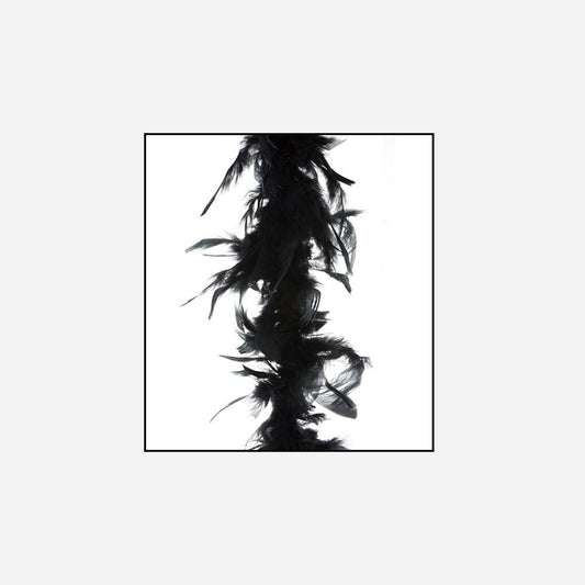 Boa 35 g 1,5 m en plumes