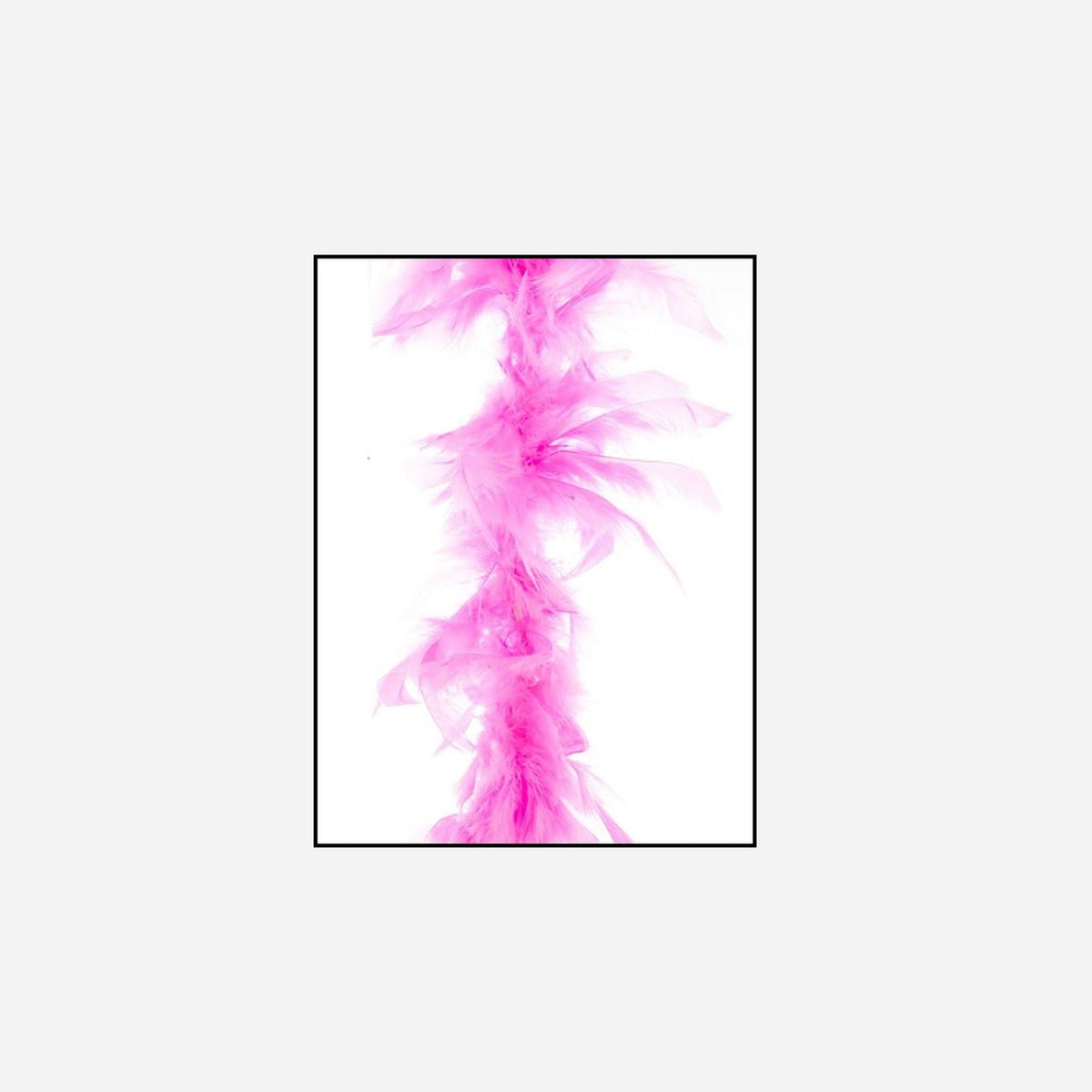 Boa 35 g 1,5 m en plumes