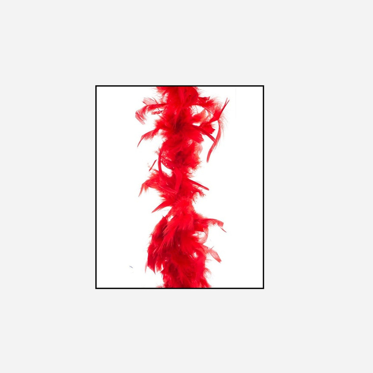 Boa 35 g 1,5 m en plumes