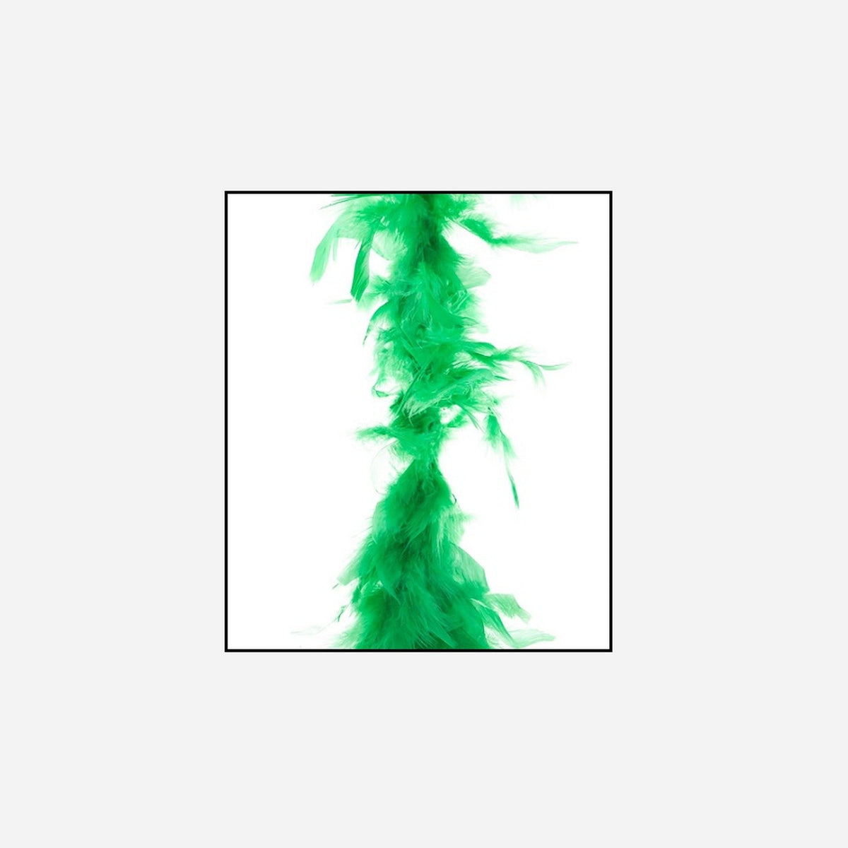 Boa 35 g 1,5 m en plumes