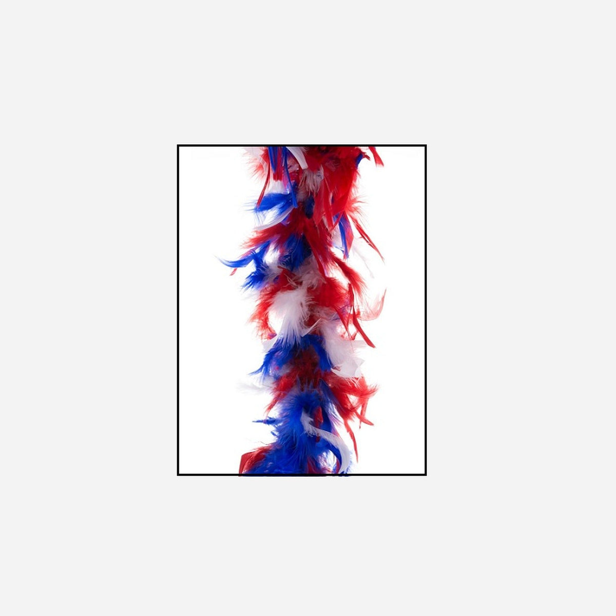 Boa 45 g bleu blanc & rouge france 2 m en plumes