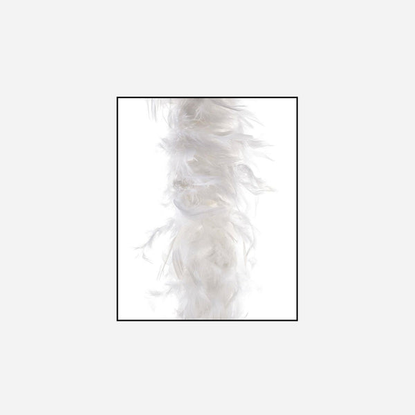 Boa 90 g blanc luxe 2 m en plumes