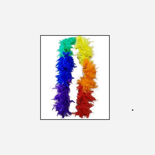 Boa 45 g multicolore 2 m en plumes