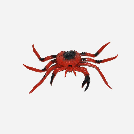 Crabe rouge et noir 23 × 12 cm