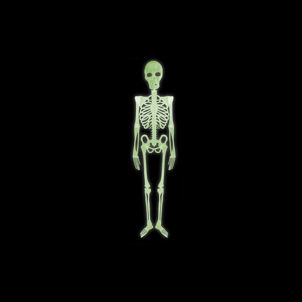 Squelette phosphorescent 1m50