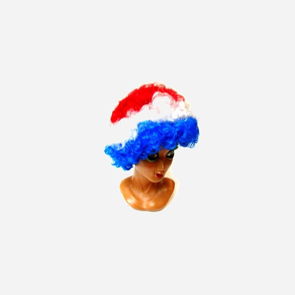 Perruque afro France grande