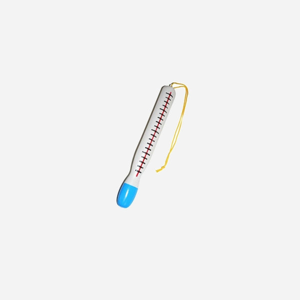 Thermomètre 30 cm