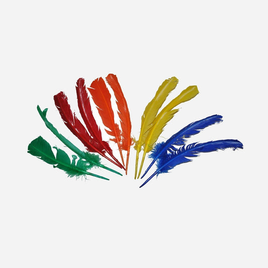 Lot de 10 plumes grandes