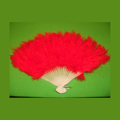 Éventail plumes