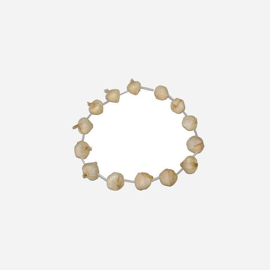 Collier gousse d'ail en plastique fantaisie