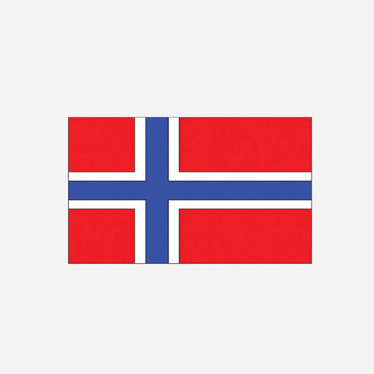 Drapeau norvège 90 × 150 cm