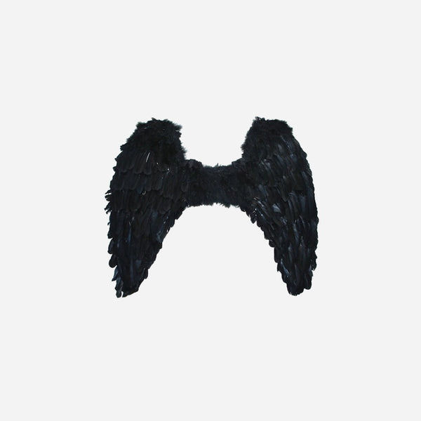 Ailes d'ange plumes grande noir 70 cm
