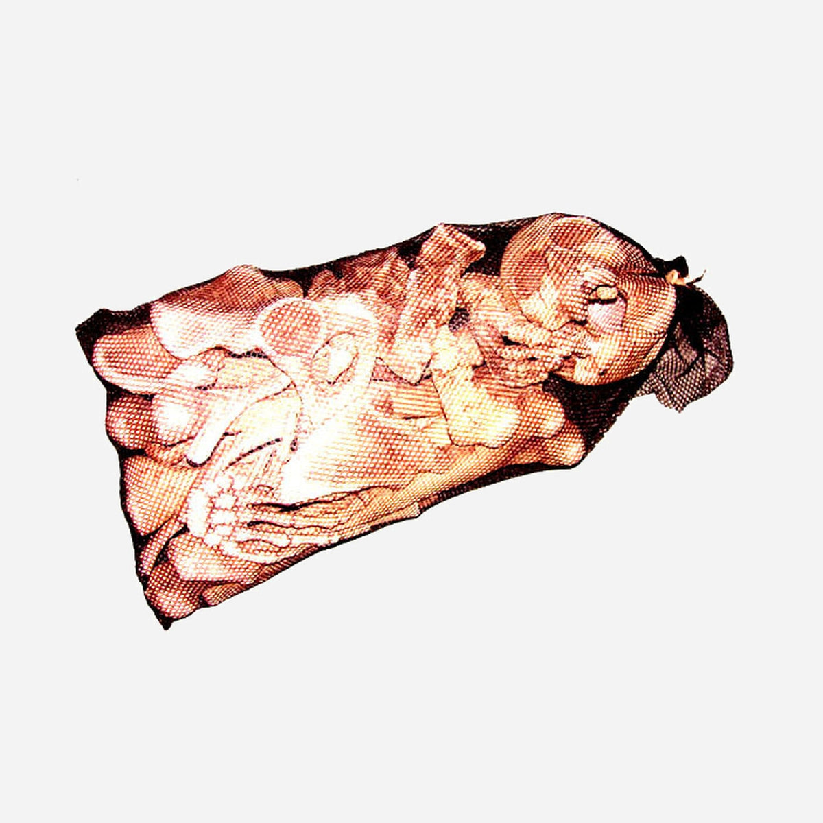 Sac d'os taille réelle 18 pièces