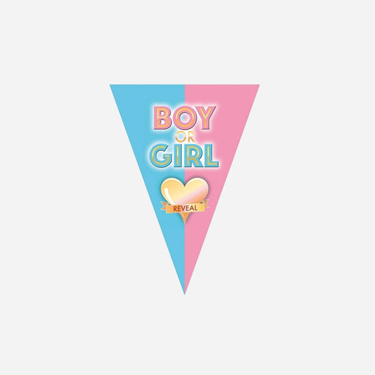 Guirlande 10 fanions motif "BOY or girl reveal" bleu rose 5 m