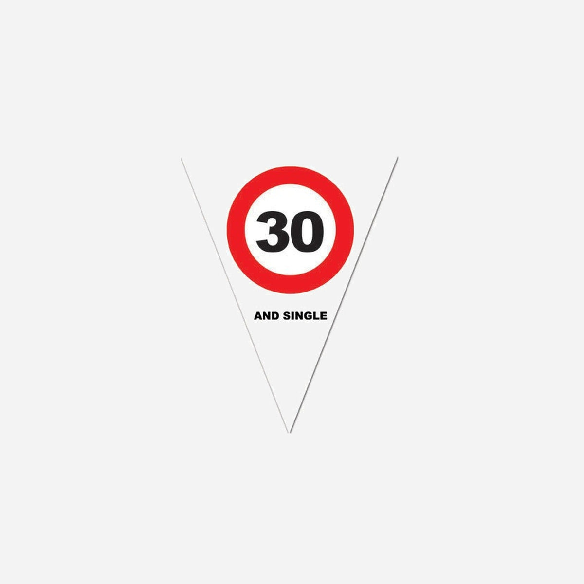 Guirlande 10 fanions 30 ans 5 m