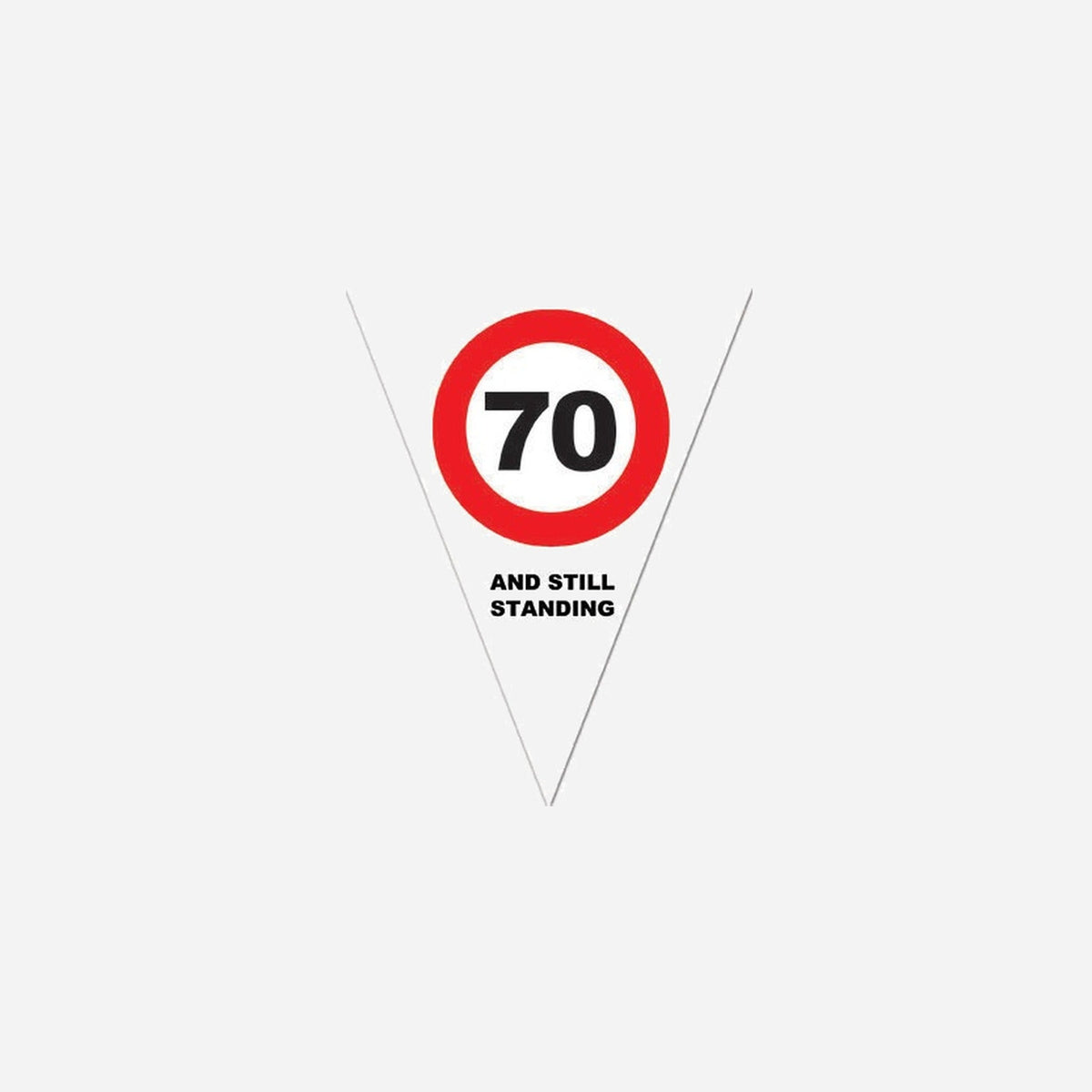 Guirlande 10 fanions 70 ans 5 m