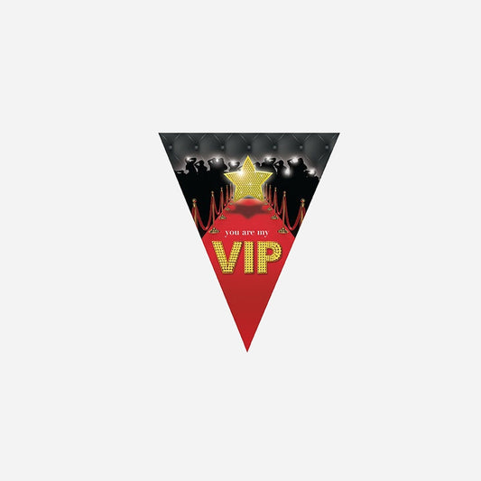 Guirlande 10 fanions V.I.P 5 m